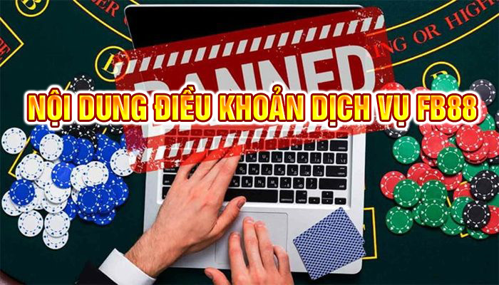 Các nội dung quan trọng có trong điều khoản dịch vụ